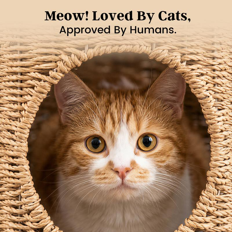 Yeyro 2-in-1 Rattan Cat Cave & Side Table